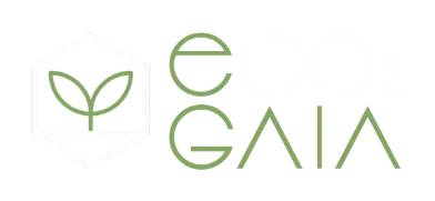 eco GAIA logo