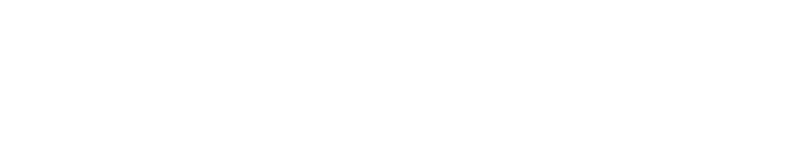 ROOTS Consultoria Ibero-Americana de Sustentabilidade